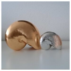 Nautilus